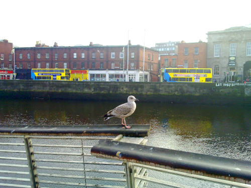 Dublin